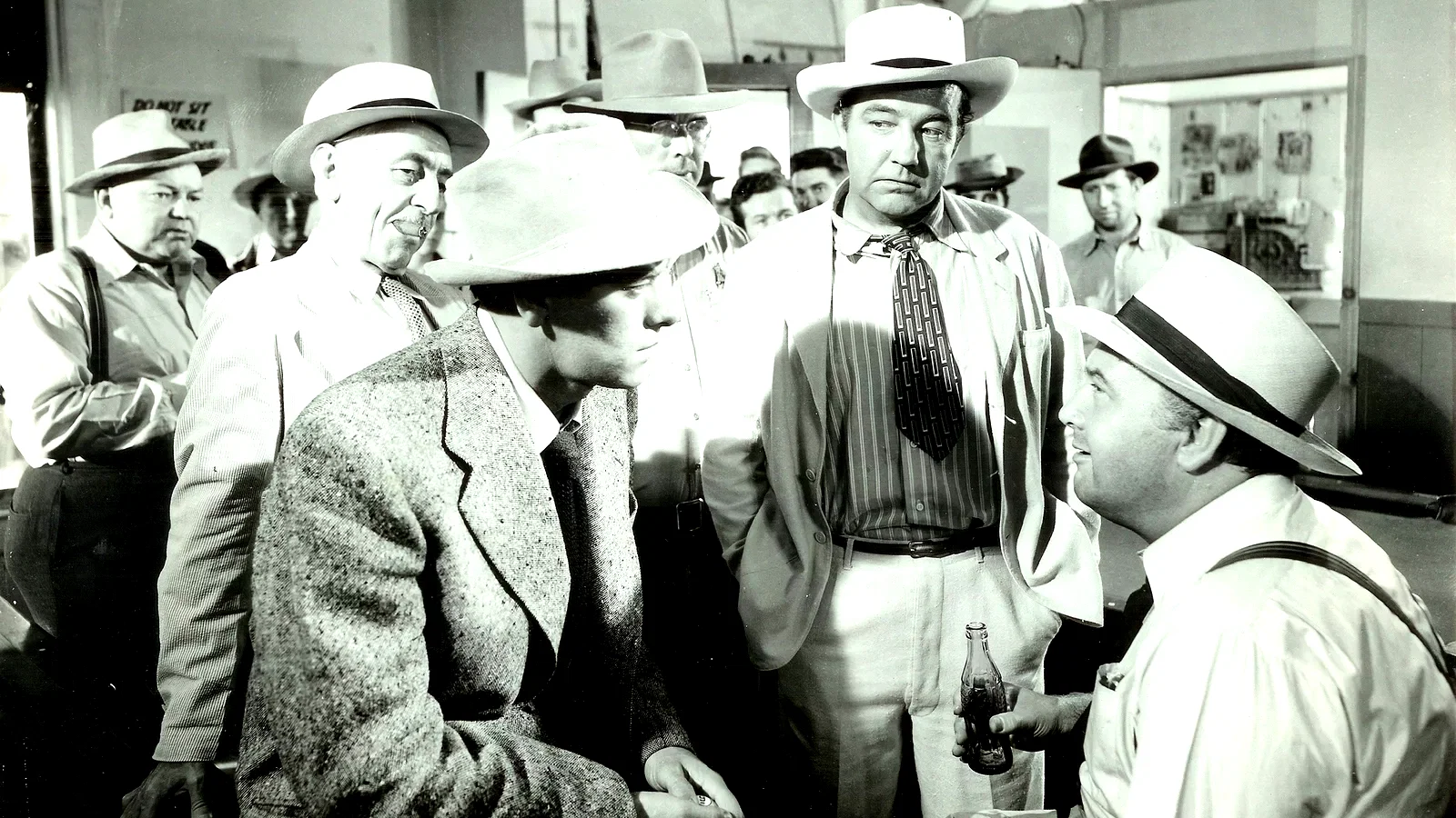 Photo 2 du film : Les fous du roi