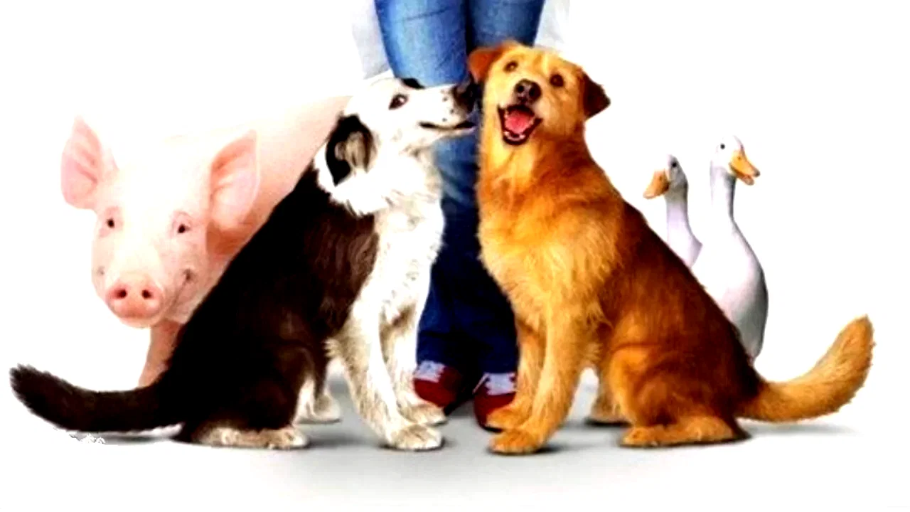 Photo 4 du film : Dr dolittle 3