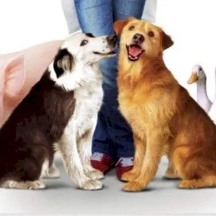 Miniature photo du film : Dr dolittle 3
