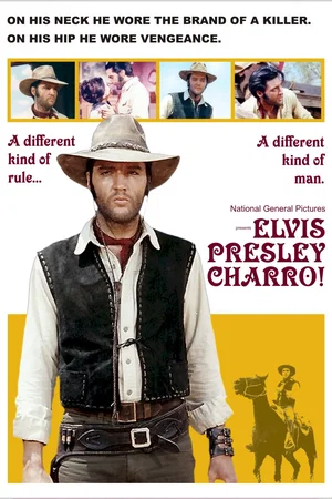 Affiche du film : Charro