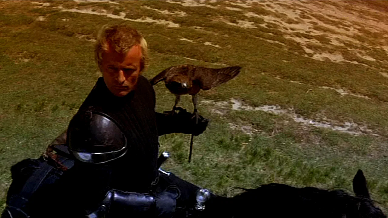 Photo 7 du film : Ladyhawke la femme de la nuit