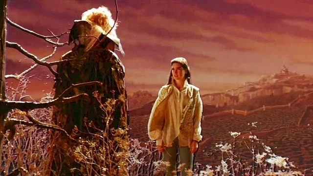 Photo 4 du film : Labyrinthe