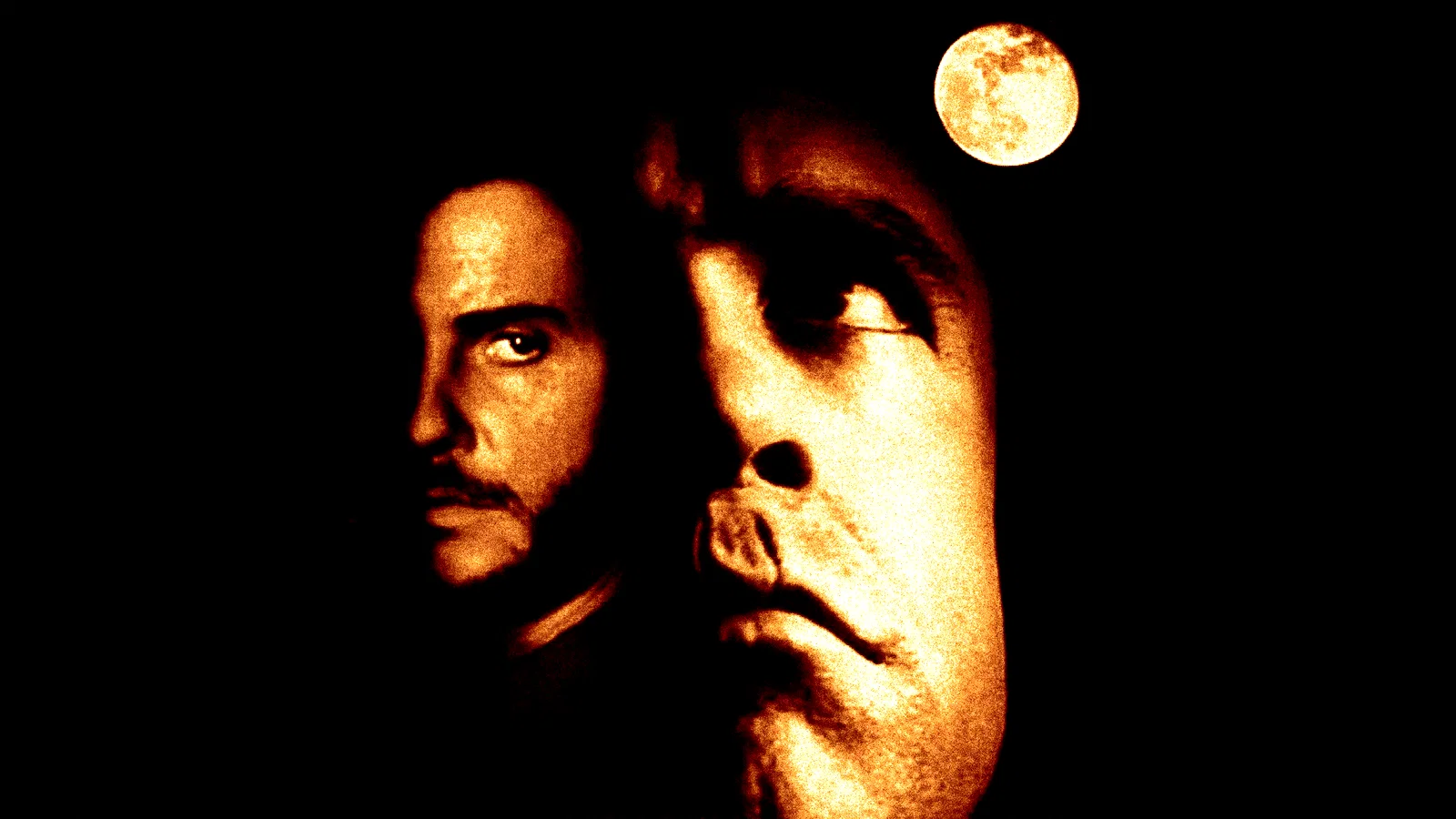 Photo 6 du film : Le sixième sens