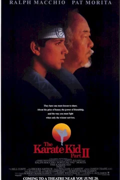 Affiche du film Karate kid, le moment de vérité II