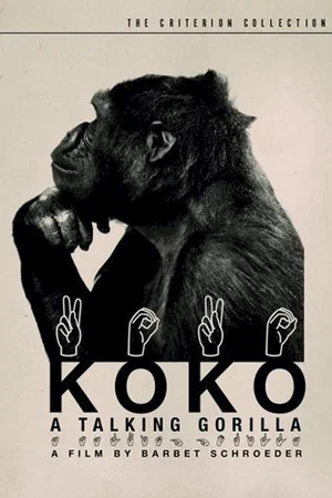 Affiche du film : Koko le gorille qui parle
