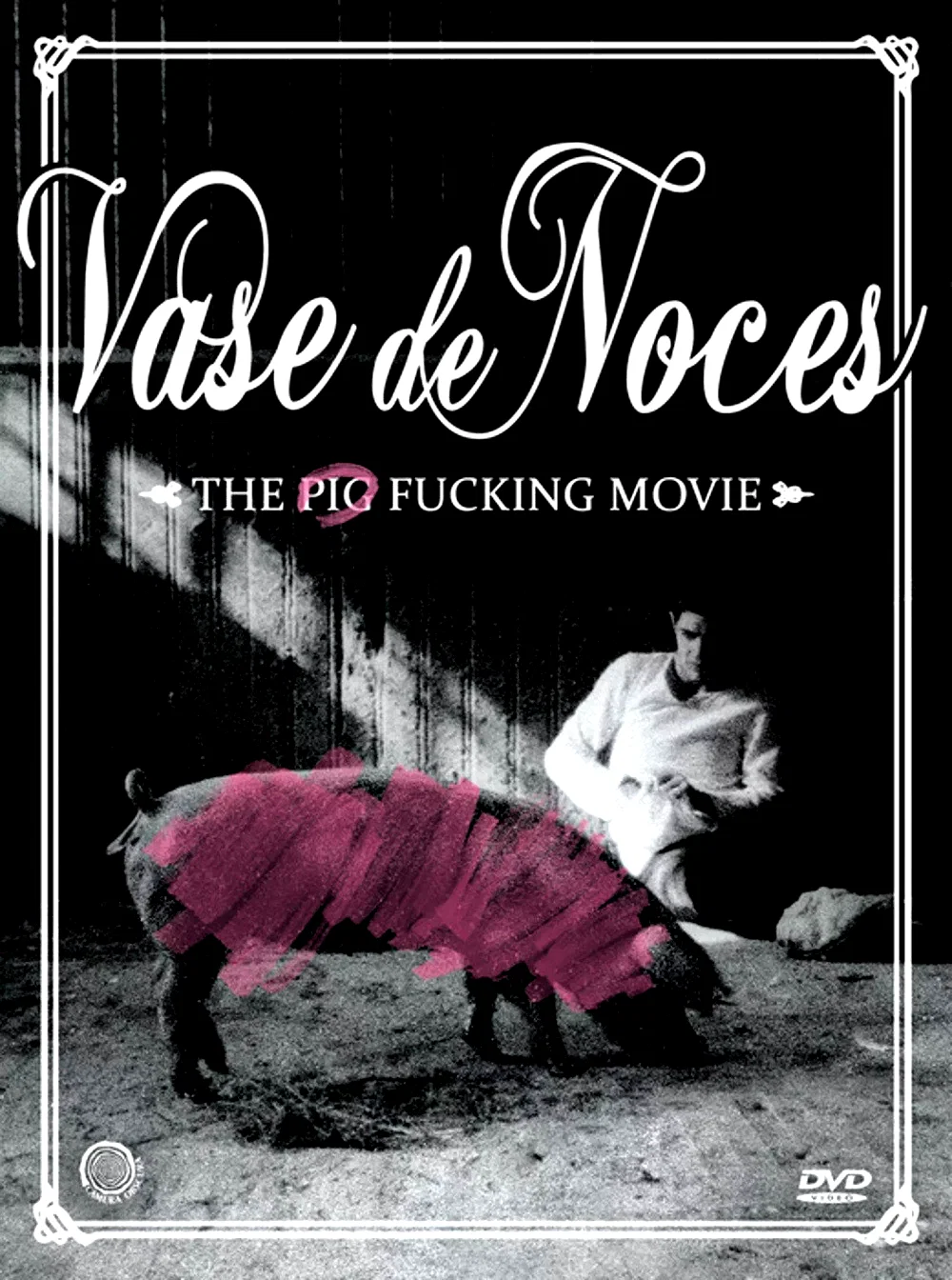 Affiche du film : Vase de noces
