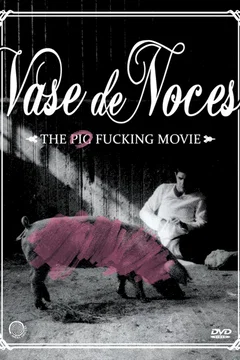 Affiche du film Vase de noces