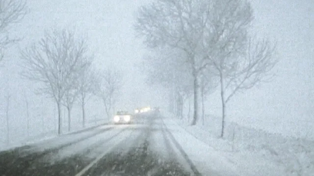 Photo 2 du film : Mon voyage d'hiver