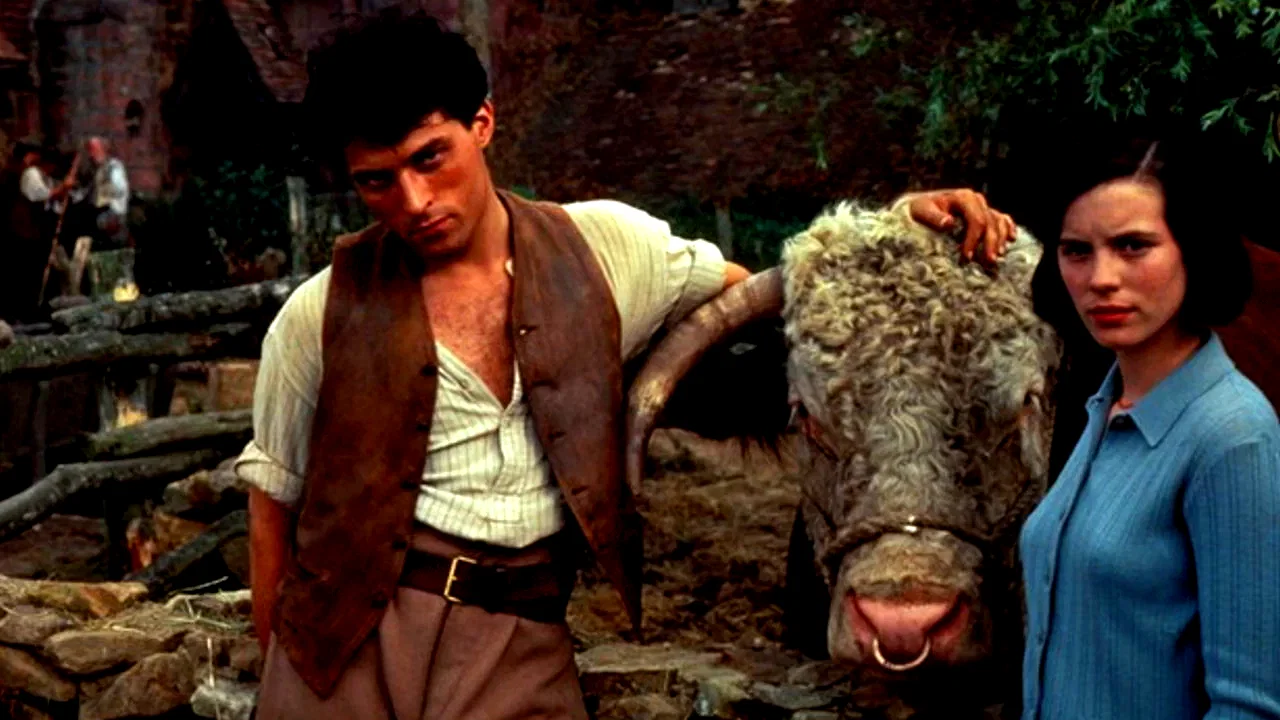 Affiche du film : Cold comfort farm