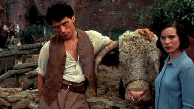 Affiche du film : Cold comfort farm