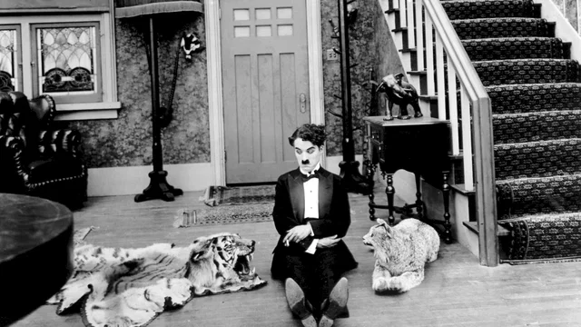 Photo 3 du film : Charlot rentre tard
