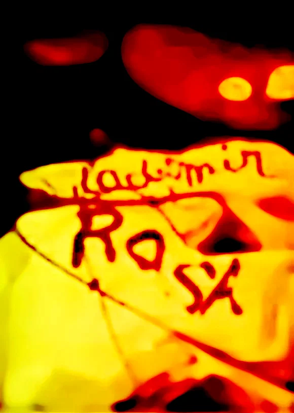 Affiche du film : Vladimir et Rosa