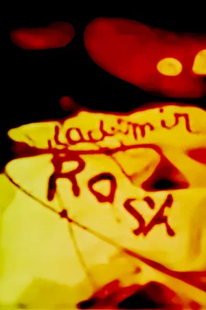 Affiche du film : Vladimir et Rosa