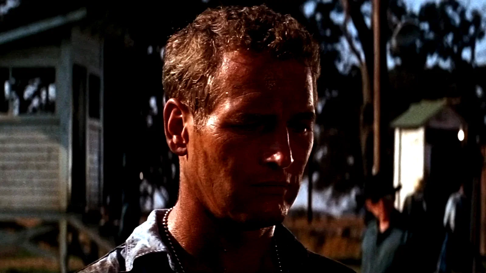 Photo 7 du film : Luke la main froide