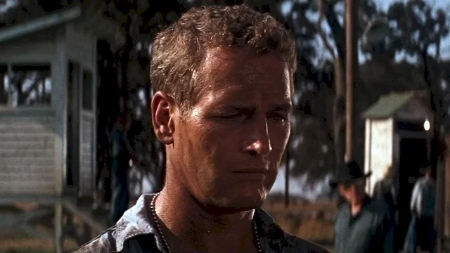 Photo du film : Luke la main froide