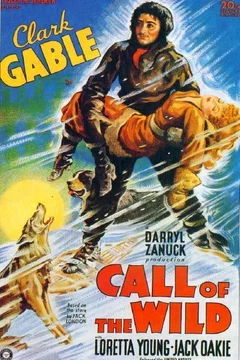 Affiche du film L'appel de la foret