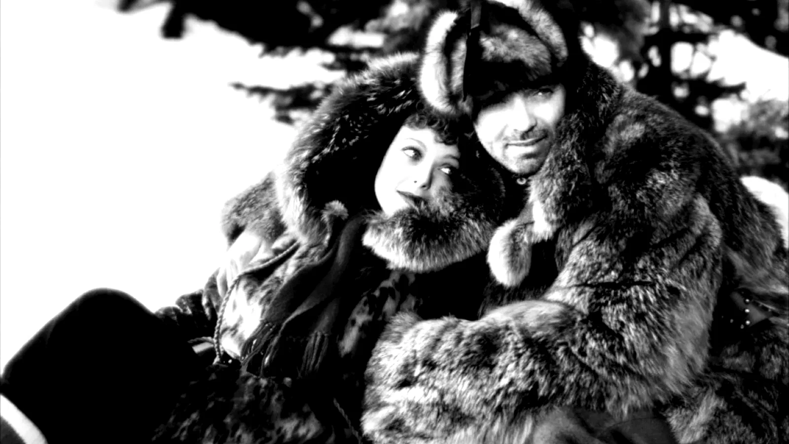 Photo 3 du film : L'appel de la foret