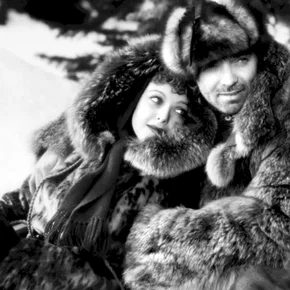 Photo du film : L'appel de la foret