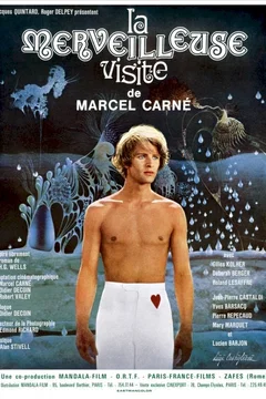 Affiche du film La merveilleuse visite