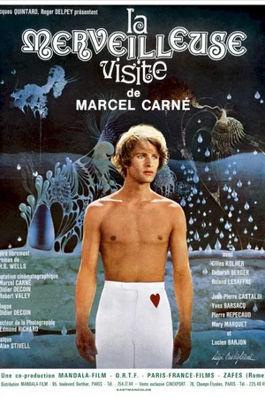 Affiche du film : La merveilleuse visite