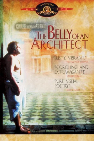 Affiche du film : Le ventre de l'architecte