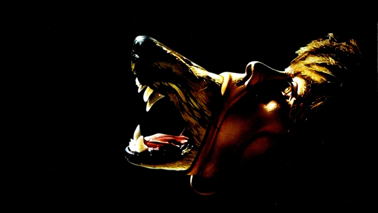 Photo du film : La compagnie des loups
