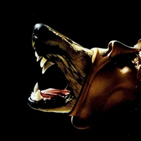 Photo du film : La compagnie des loups