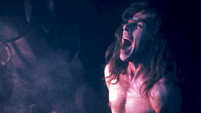 Photo 4 du film : La compagnie des loups