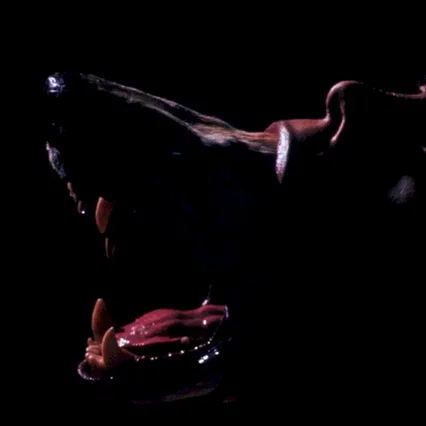 Miniature photo du film : La compagnie des loups