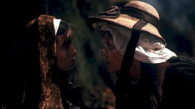 Photo 7 du film : La compagnie des loups