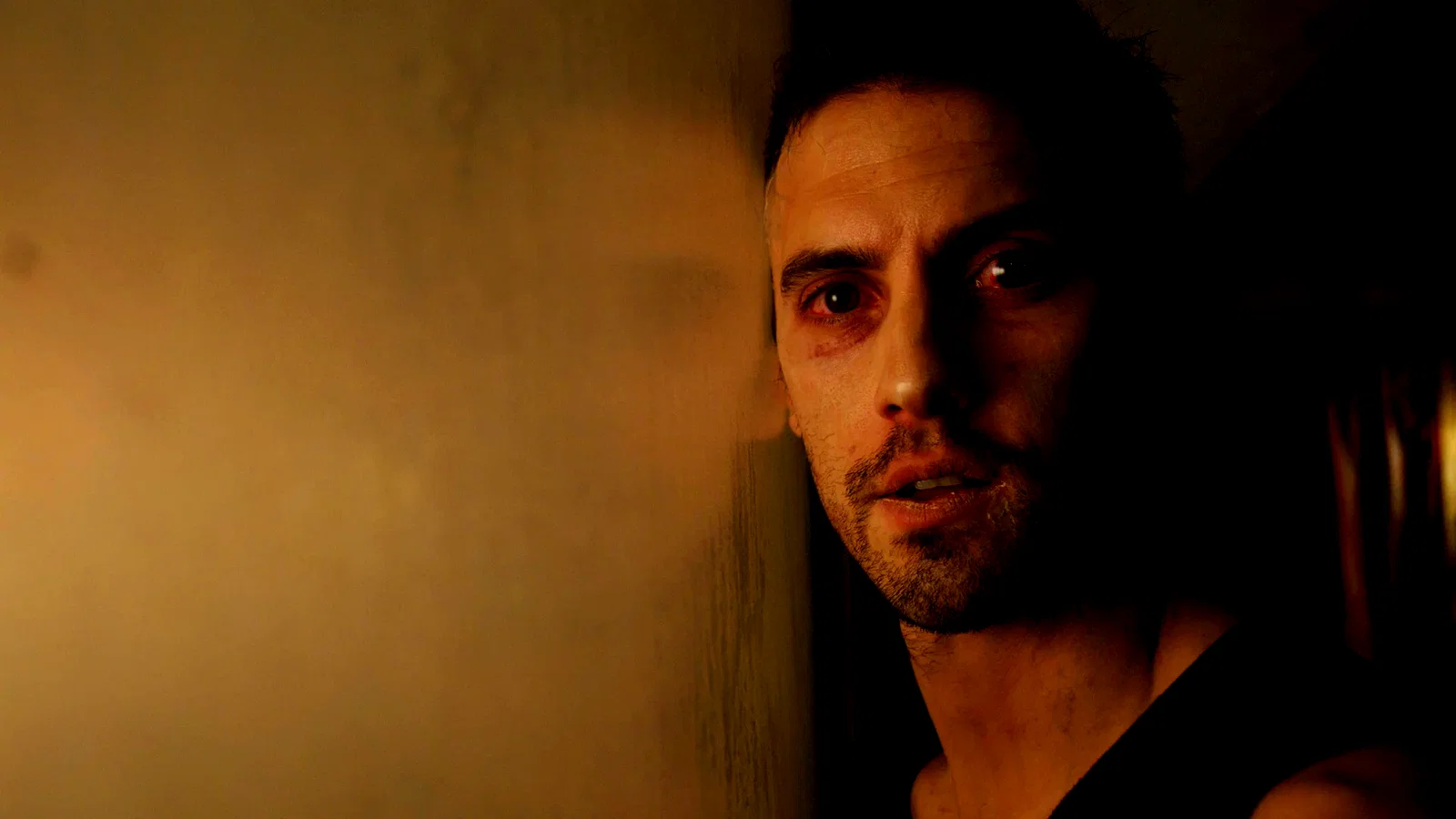 Photo 3 du film : The Divide