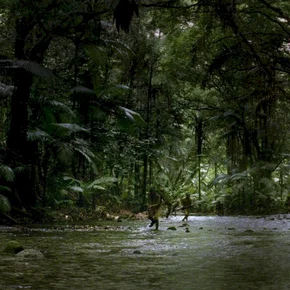 Photo du film : Red line