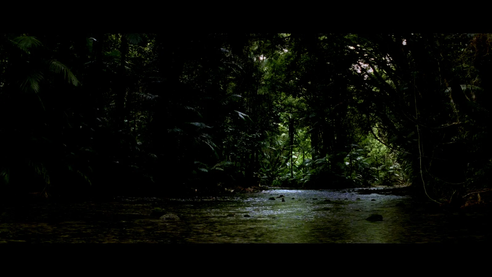 Photo 10 du film : Red line