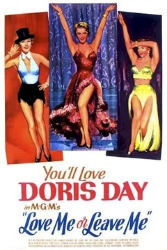 Affiche du film Les pieges de la passion