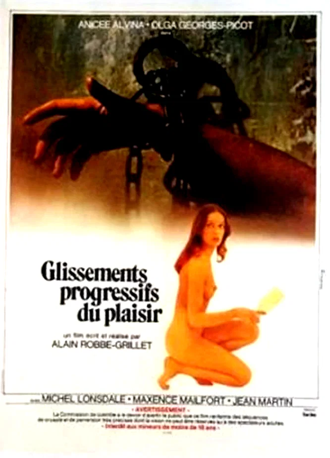 Affiche du film : Glissements progressifs du plaisir
