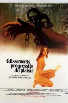 Affiche du film Glissements progressifs du plaisir