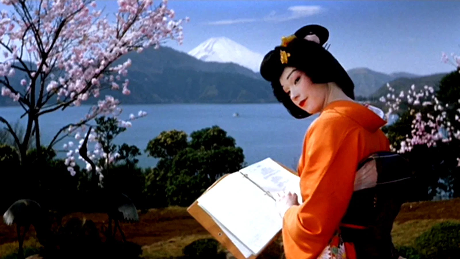 Photo 3 du film : Ma Geisha