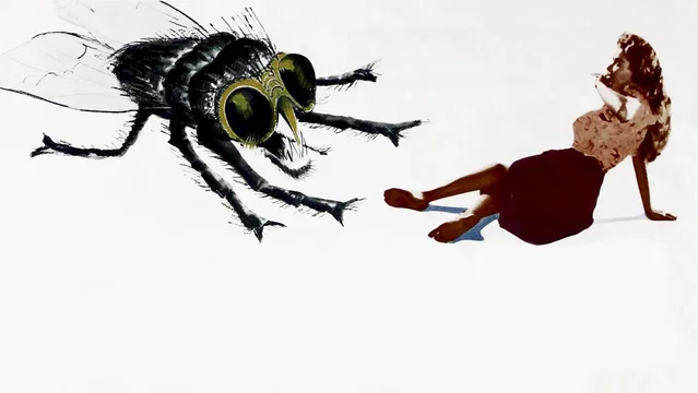 Photo du film : La mouche noire