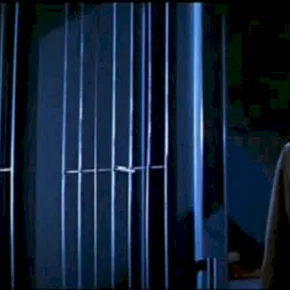 Photo du film : La mouche noire