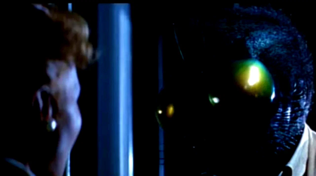 Photo 5 du film : La mouche noire