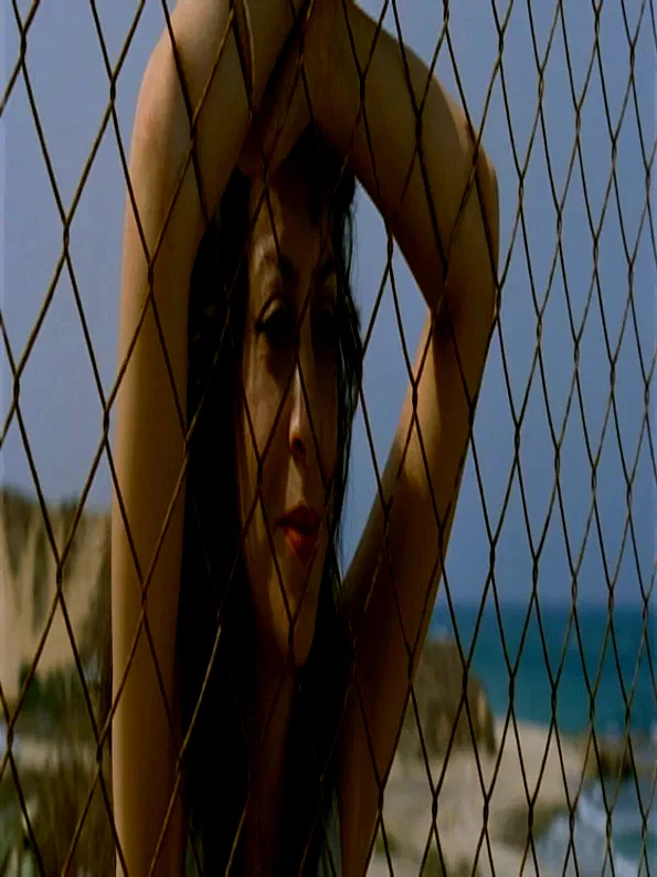 Affiche du film : Sister my sister