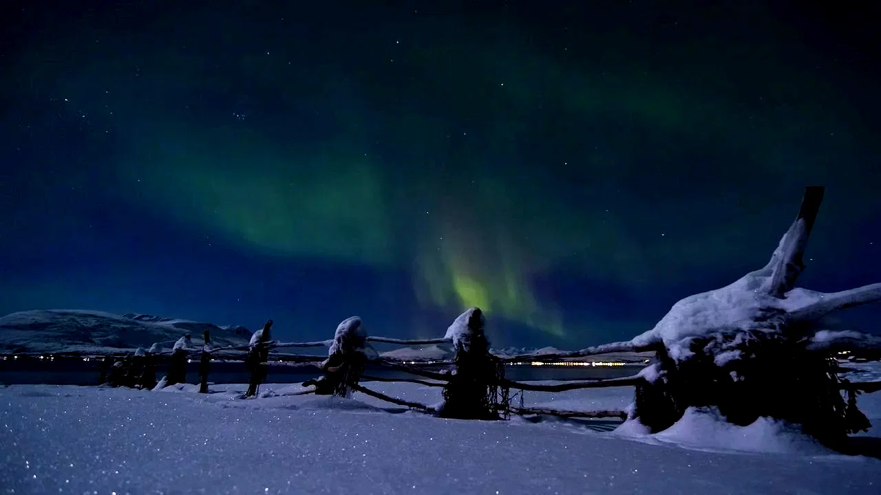 Photo 4 du film : Northern lights