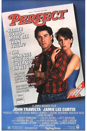 Affiche du film : Perfect