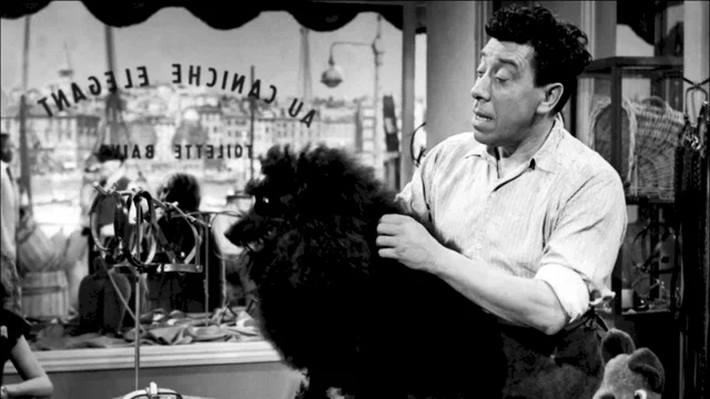 Photo 4 du film : Coiffeur pour dames
