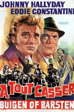 Affiche du film A tout casser