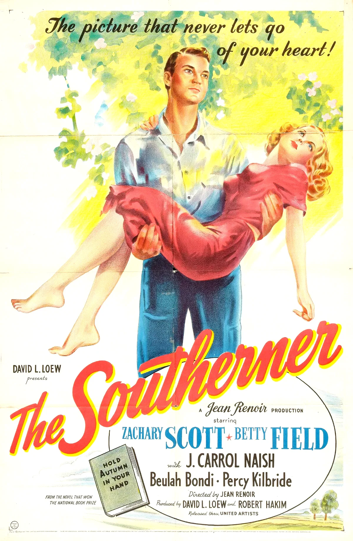 Affiche du film : L'homme du Sud
