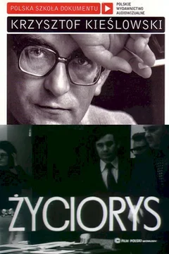 Affiche du film Curriculum Vitae