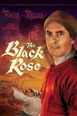 Affiche du film : La rose noire