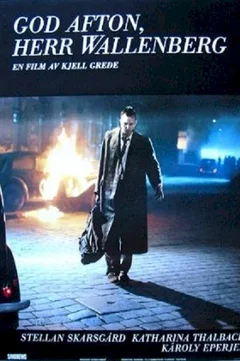 Affiche du film Wallenberg
