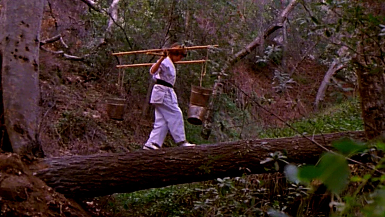 Photo du film : Ninja kids
